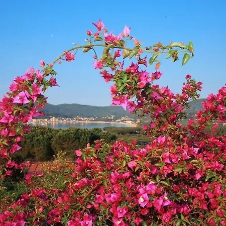 海滨2号酒店 坎普码港